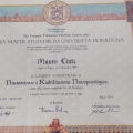 Ingrandire l'immagine: certificate 1