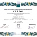Ingrandire l'immagine: certificate 7