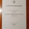 Ingrandire l'immagine: certificate 29