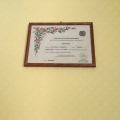 Ingrandire l'immagine: certificate 1