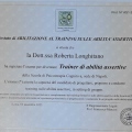 Ingrandire l'immagine: certificate 2