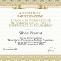 Ingrandire l'immagine: certificate 1