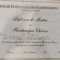 Ingrandire l'immagine: certificate 6