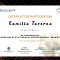 Ingrandire l'immagine: certificate 9