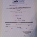 Ingrandire l'immagine: certificate 1
