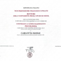 Ingrandire l'immagine: certificate 1