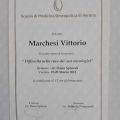 Ingrandire l'immagine: certificate 41