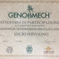 Ingrandire l'immagine: certificate 27