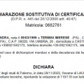Ingrandire l'immagine: certificate 1
