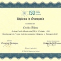 Ingrandire l'immagine: certificate 3