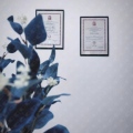 Ingrandire l'immagine: certificate 1