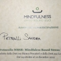 Ingrandire l'immagine: certificate 4