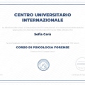 Ingrandire l'immagine: certificate 2