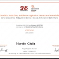 Ingrandire l'immagine: certificate 6