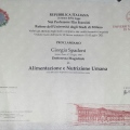 Ingrandire l'immagine: certificate 1