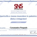 Ingrandire l'immagine: certificate 14