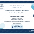 Ingrandire l'immagine: certificate 156