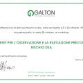Ingrandire l'immagine: certificate 5