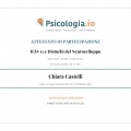 Ingrandire l'immagine: certificate 2