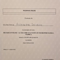 Ingrandire l'immagine: certificate 9