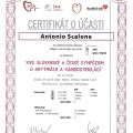 Ingrandire l'immagine: certificate 5