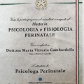 Ingrandire l'immagine: certificate 1