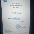Ingrandire l'immagine: certificate 4