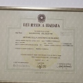 Ingrandire l'immagine: certificate 5