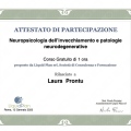 Ingrandire l'immagine: certificate 4