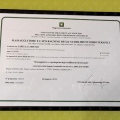 Ingrandire l'immagine: certificate 3