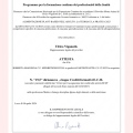Ingrandire l'immagine: certificate 203