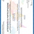 Ingrandire l'immagine: certificate 1