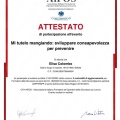 Ingrandire l'immagine: certificate 1