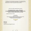 Ingrandire l'immagine: certificate 4