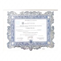 Ingrandire l'immagine: certificate 3