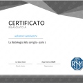 Ingrandire l'immagine: certificate 4