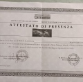 Ingrandire l'immagine: certificate 221