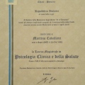 Ingrandire l'immagine: certificate 3