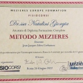 Ingrandire l'immagine: certificate 5