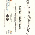 Ingrandire l'immagine: certificate 2