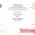 Ingrandire l'immagine: certificate 3