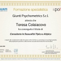 Ingrandire l'immagine: certificate 6