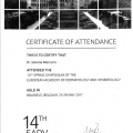 Ingrandire l'immagine: certificate 1