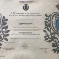 Ingrandire l'immagine: certificate 5