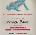 Ingrandire l'immagine: certificate 2