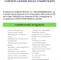 Ingrandire l'immagine: certificate 6