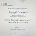 Ingrandire l'immagine: certificate 4