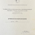 Ingrandire l'immagine: certificate 6