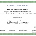 Ingrandire l'immagine: certificate 3