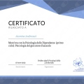 Ingrandire l'immagine: certificate 7